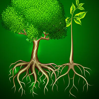 Illustration supporting - Image 1