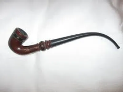 Illustration stem - Image 2