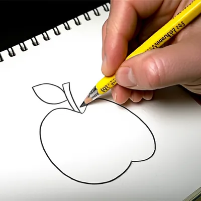 Illustration delineate - Image 1