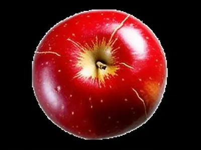 Hình ảnh minh họa deform - Ảnh 1