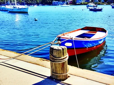 Illustration moor - Image 1