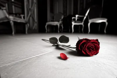 Illustration dishonored - Image 1