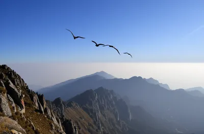 Illustration mountain - Image 1