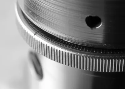 Illustration reed - Image 1