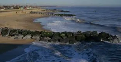 Illustration groin - Image 2