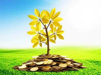 Illustration accruing - Image 1