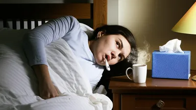 Hình ảnh minh họa gat - Ảnh 1