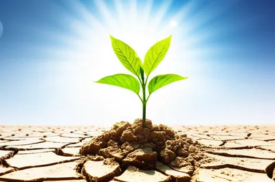 Illustration deferred - Image 1