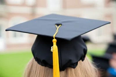 Illustration tufts - Image 1