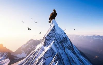 Illustration grandest - Image 1