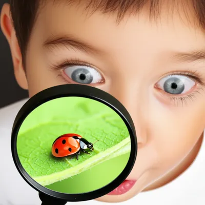 Illustration magnifies - Image 1