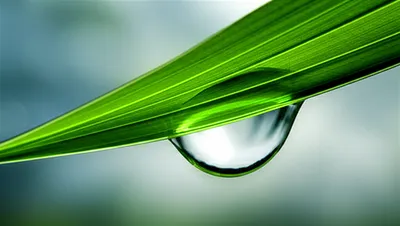 Illustration distil - Image 1