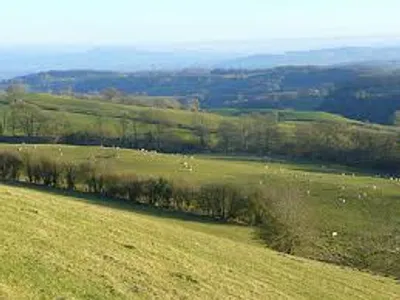 Illustration lay - Image 5