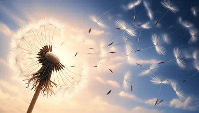 Illustration irradiate - Image 1