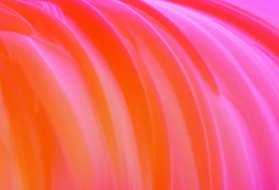 Illustration flamingo - Image 1