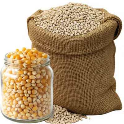 Illustration adjunct - Image 1