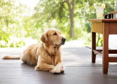 Illustration loafs - Image 1