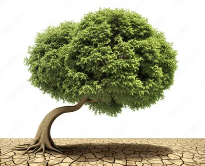 Illustration bending - Image 1