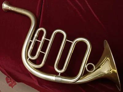 Illustration serpent - Image 1