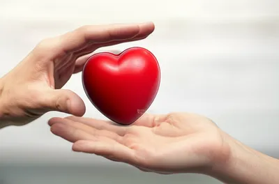 Illustration rejecting