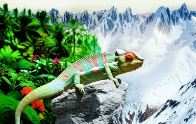 Illustration conditions - Image 1