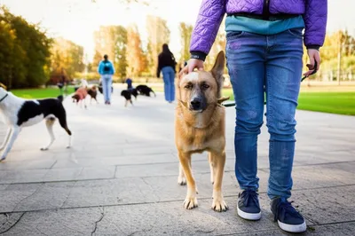 Illustration lames - Image 1