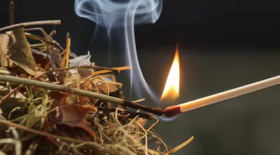 Illustration seats - Image 1