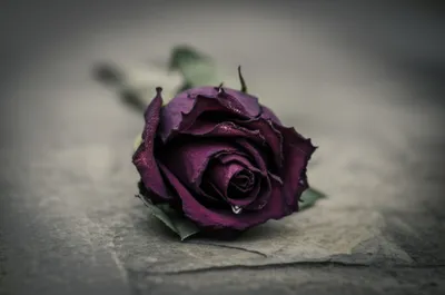 Illustration grievances