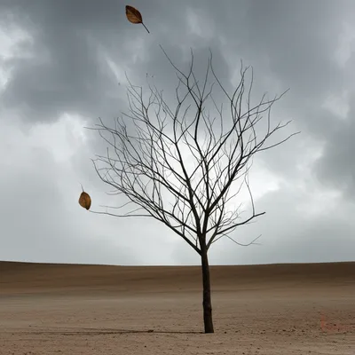 Illustration parted - Image 1