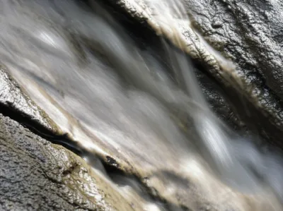 Illustration silt - Image 1