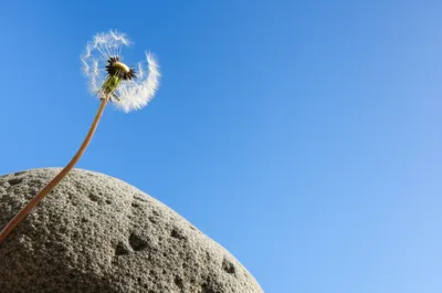 Illustration lightest - Image 1