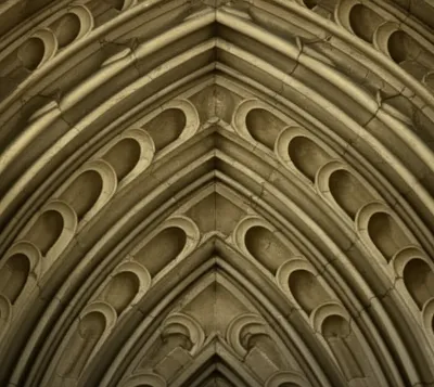 Illustration feathering - Image 1