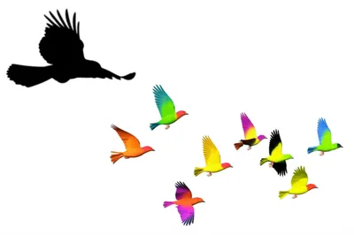 Illustration course - Image 1