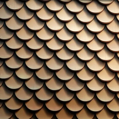 Illustration imbricate - Image 1