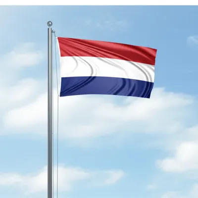 Illustration fly - Image 1