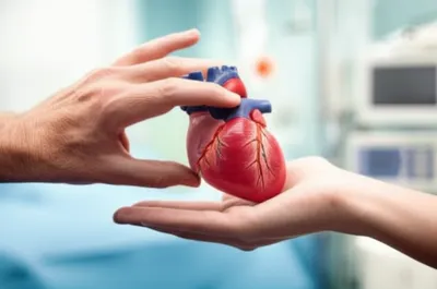 Illustration transplantation - Image 1