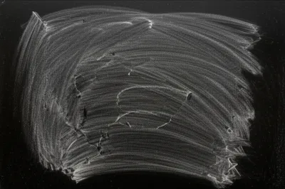 Illustration rase - Image 1