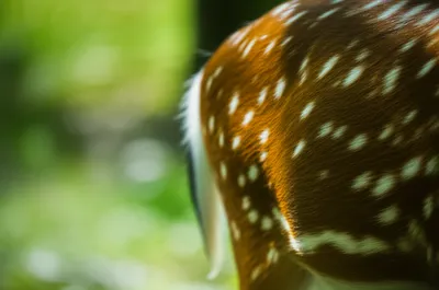 Illustration markings - Image 1