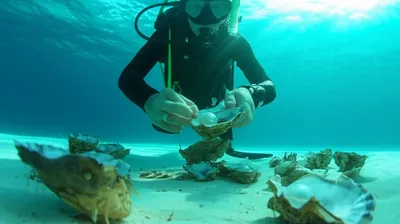 Illustration pearling - Image 1