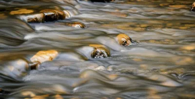 Illustration laminar