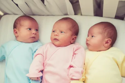 Illustration triplets - Image 1