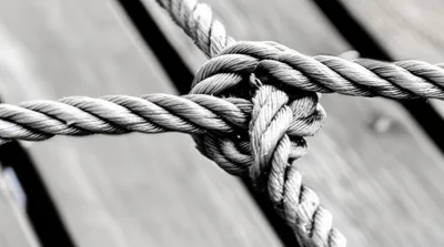 Illustration hitch - Image 1