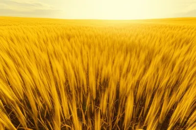 Illustration st - Image 1