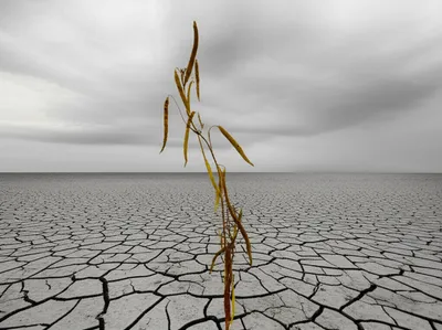 Illustration soured - Image 1