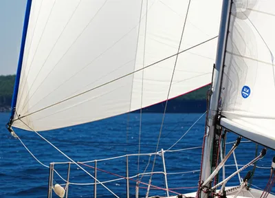 Illustration veered - Image 1