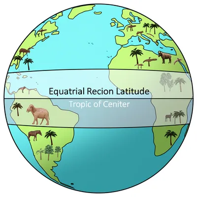 Illustration tropical - Image 1