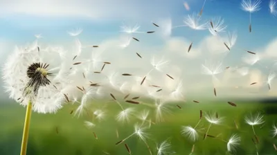 Illustration dispersed - Image 1