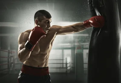 Illustration combination - Image 1