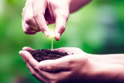 Illustration committing