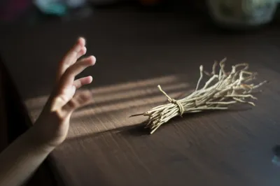 Illustration swishes - Image 1